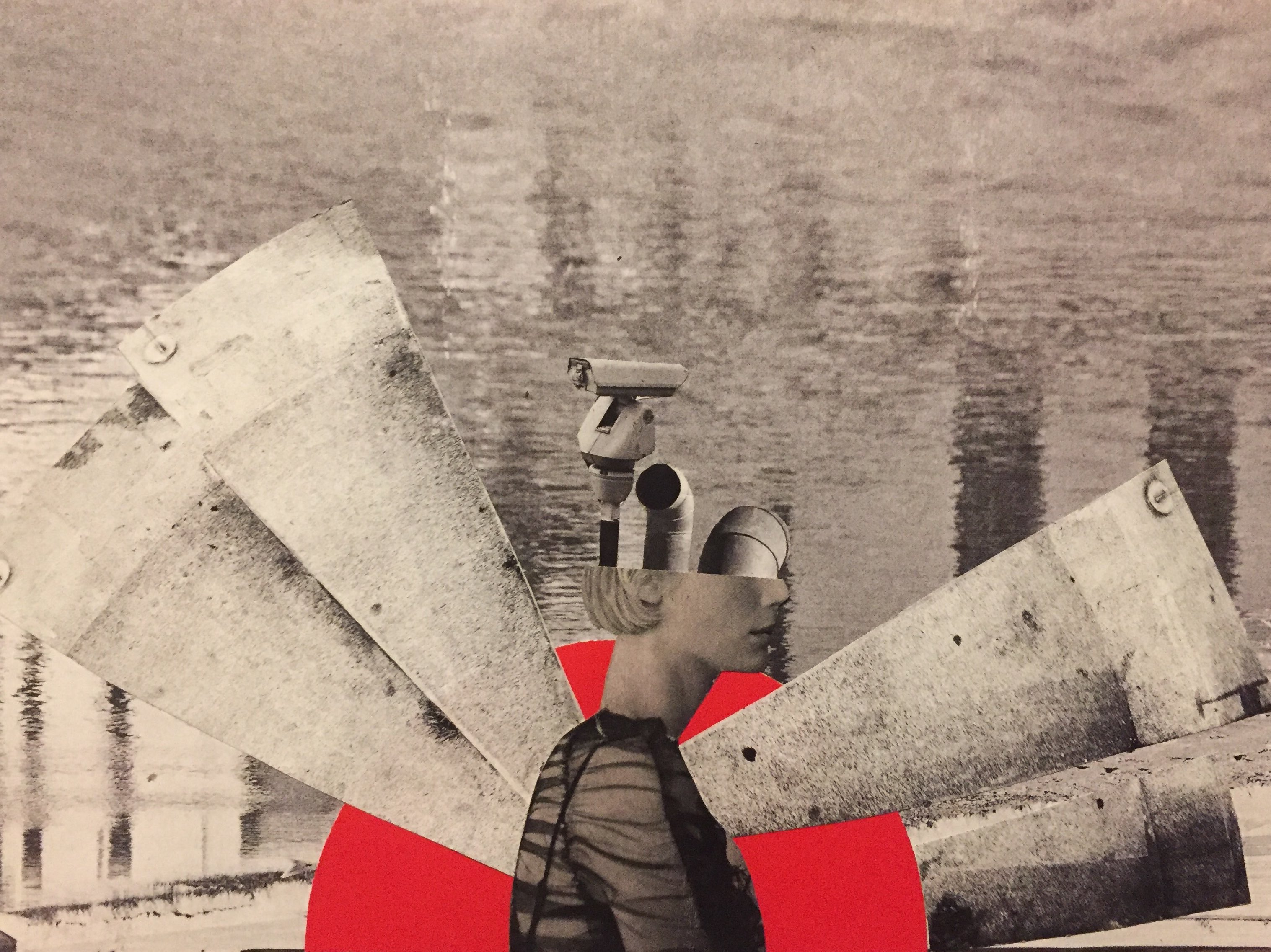 SEEDS – Collage workshop with Belén L. Yáñez