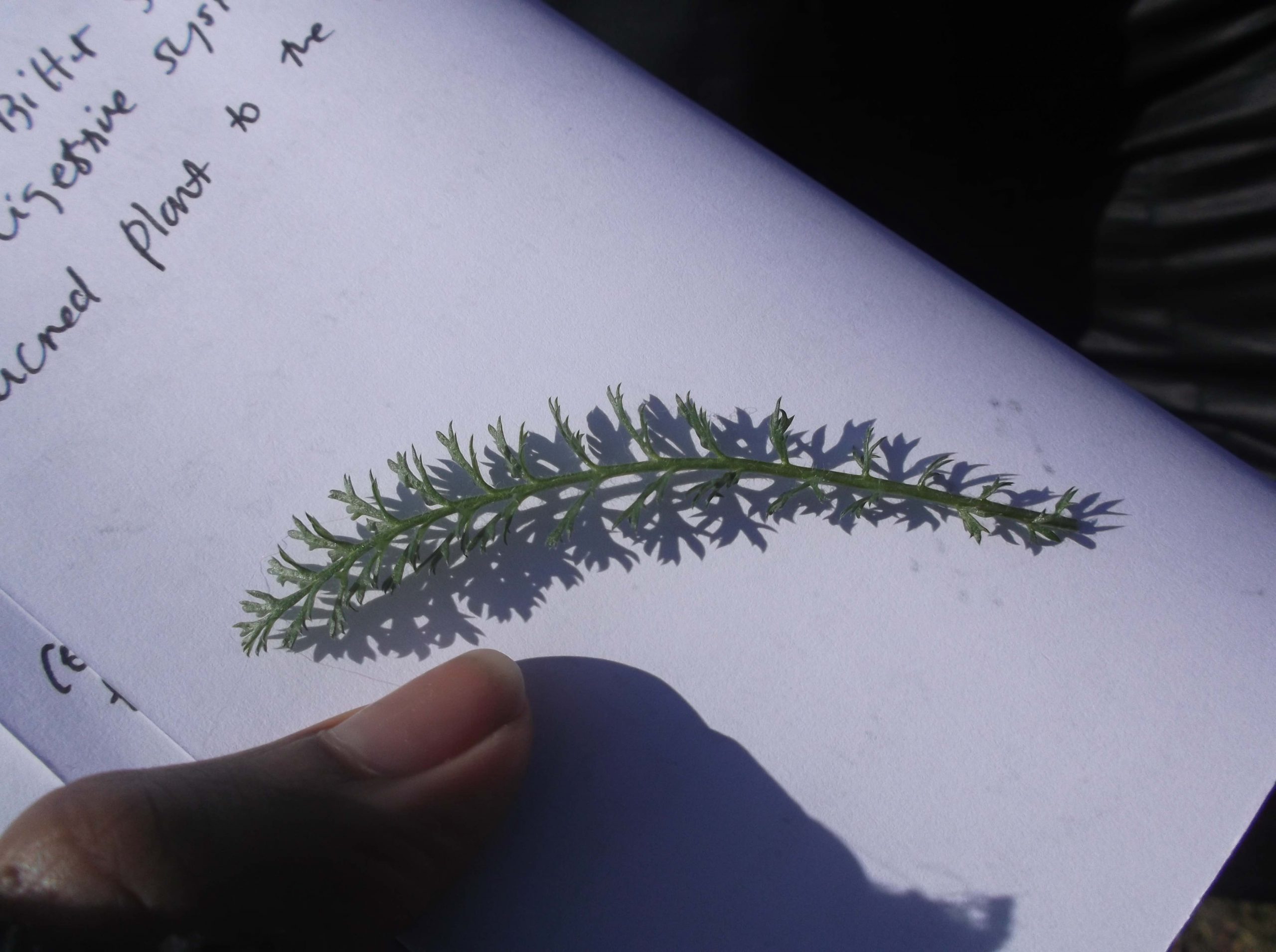 Create your own Care Time Capsule – immersive activity