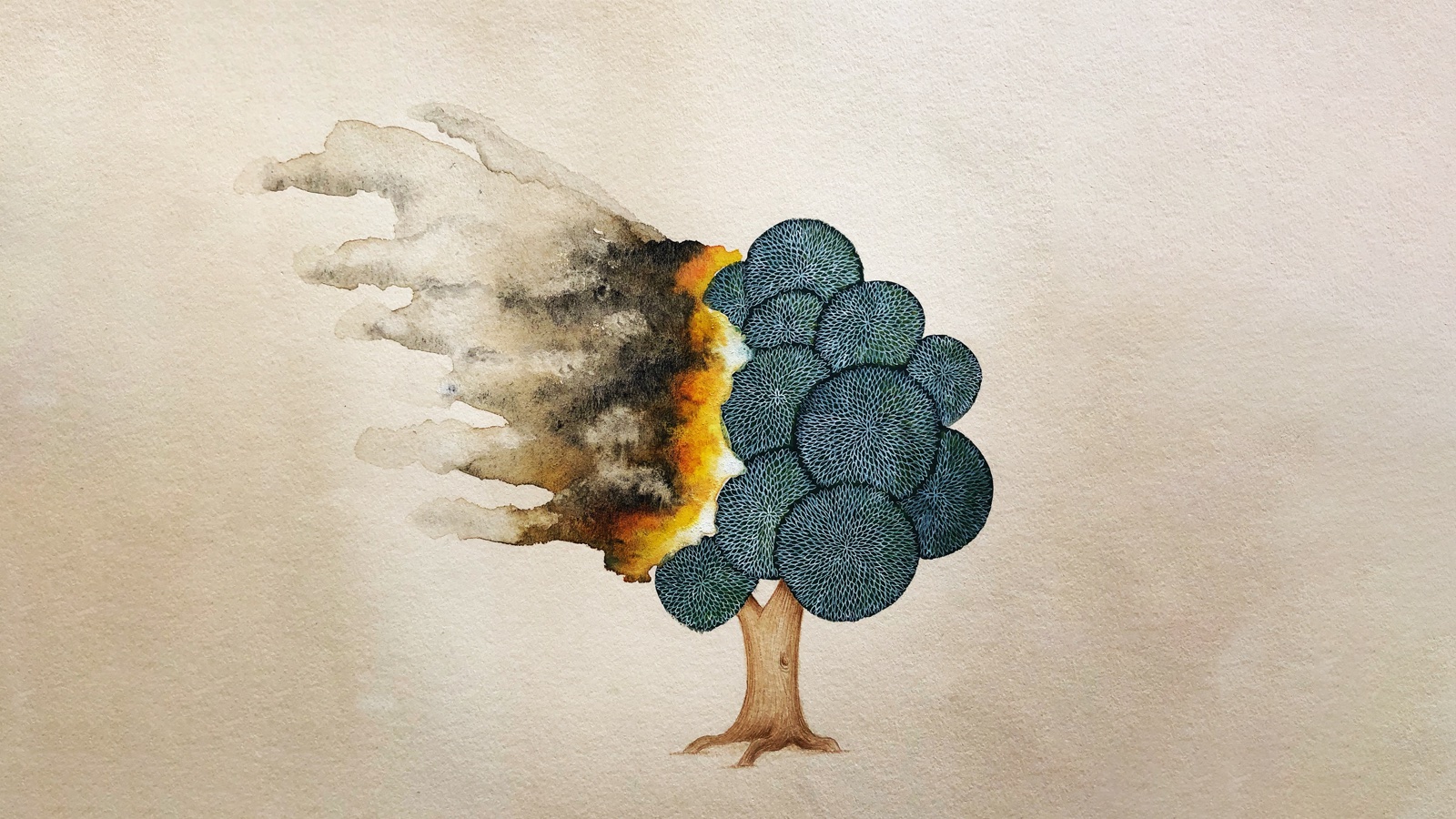 Climate Refugees: Artistic Responses – Ashes to Ashes