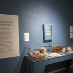 departures and arrivals exhibit at the Migration Museum